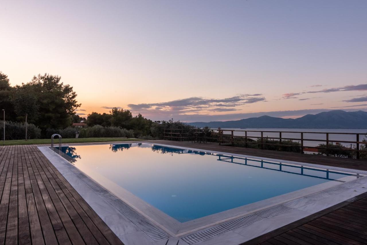 Villa Kalamos / Sea View And Pool Nearby Athens Luaran gambar