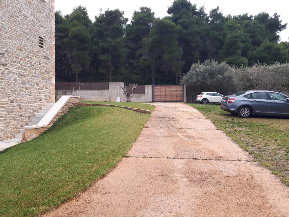 Villa Kalamos / Sea View And Pool Nearby Athens Luaran gambar