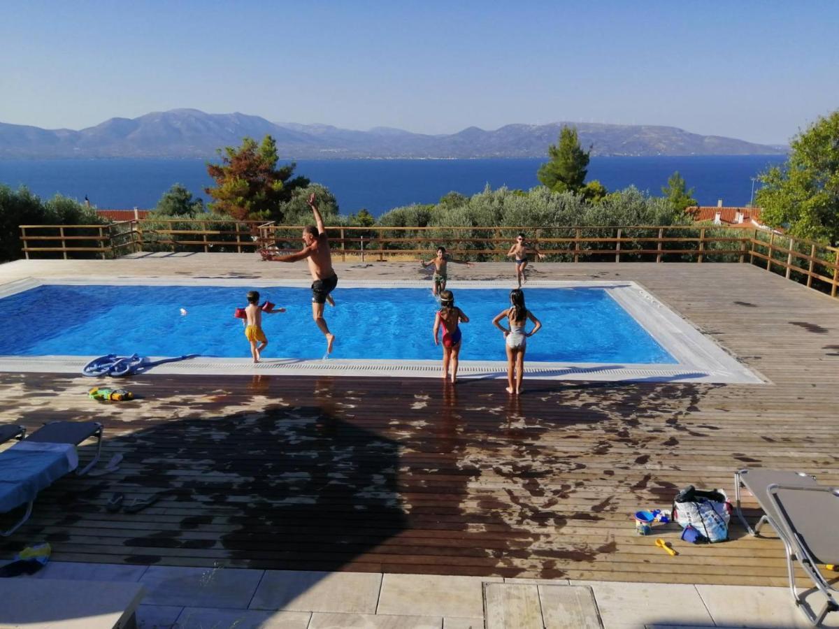 Villa Kalamos / Sea View And Pool Nearby Athens Luaran gambar