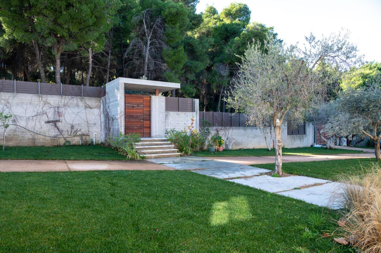 Villa Kalamos / Sea View And Pool Nearby Athens Luaran gambar
