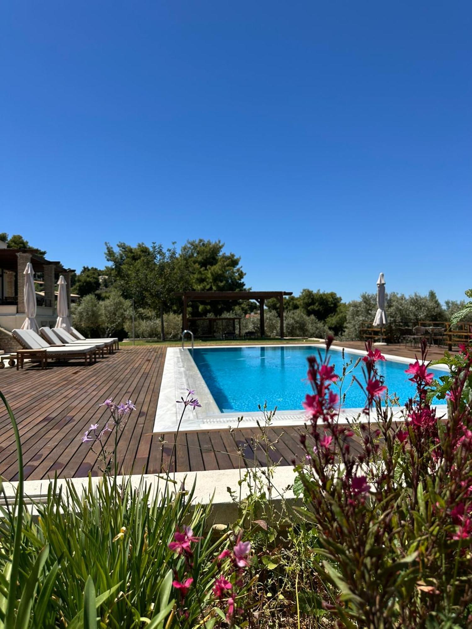 Villa Kalamos / Sea View And Pool Nearby Athens Luaran gambar